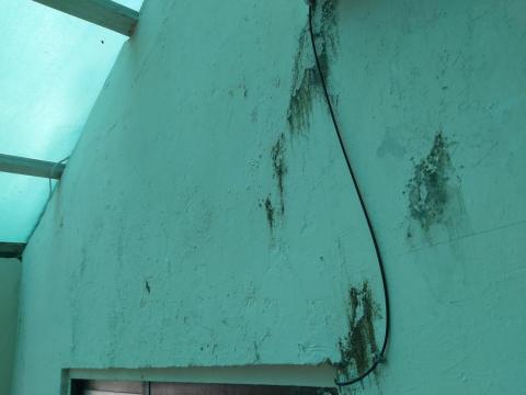 何美工程行 - 內牆壁癌
