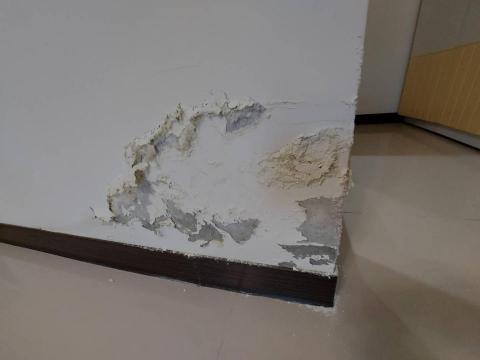 何美工程行 - 壁癌處理