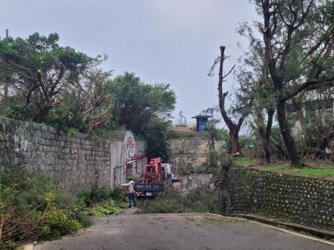 于森園藝企業社 （林先生） - 