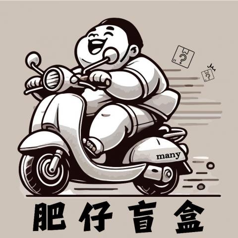候風全方位設計有限公司 - ➡️LOGO設計

?設計理念：

1. 人物形象：LOGO中的人物是一位騎著摩托車、滿臉笑容的胖子，象徵快樂、無憂無慮的生活態度，也傳遞出品牌輕鬆愉快的核心價值。

2. 動感設計：摩托車的流線動態和飄動的細節強調速度感，展現品牌在服務上的迅速與高效，給人一種「輕鬆快速到位」的印象。

3. 文字元素：下方的「肥仔盲盒」字體設計樸實有力，搭配肥仔形象，營造出品牌親近消費者的溫暖感，盲盒的概念則帶來驚喜與期待。

4. 小圖標細節：LOGO中飛出的盲盒與問號符號，巧妙地突出了品牌核心產品&mdash;&mdash;盲盒的驚喜特性