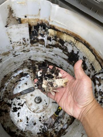 蕭清器-清洗電器職人 - （洗衣機外槽清洗前直立式）