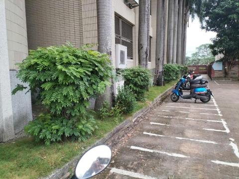 于森園藝企業社 （林先生） - 