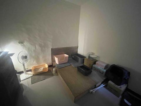 專業鏟屎官小茜 - 貓咪廁所