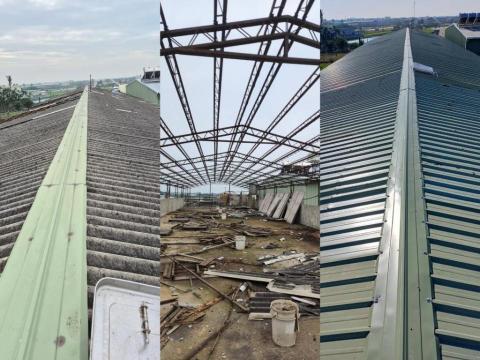 玉鼎 - 石棉瓦屋頂拆除 重建 一條龍