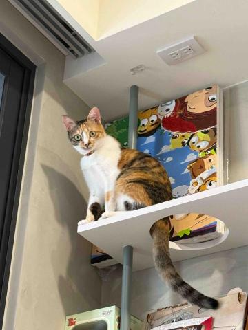 陳雅君 - 客戶家中一歲小女生