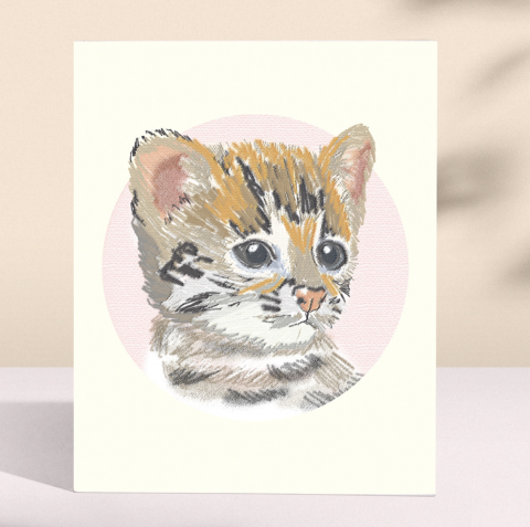 Eddie Chen - 插畫設計