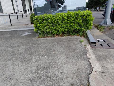 傾青景觀設計有限公司 - 