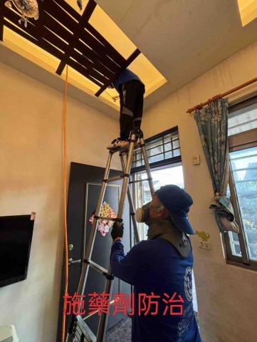 清樂環衛-高屏區 - 防治蛀蟲施藥