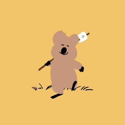 提供後台管理系統服務的專家Lindsay