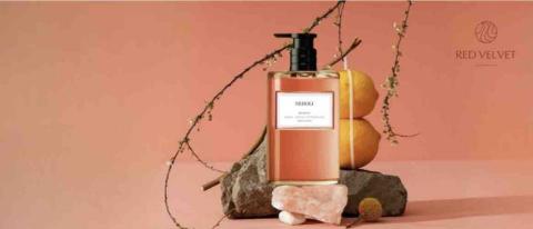 阮惠資 - 形象圖