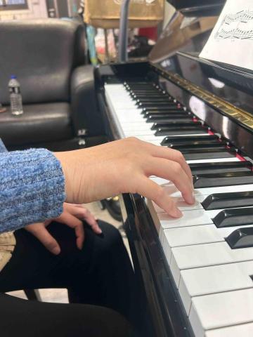 Max piano - 非常標準的手型