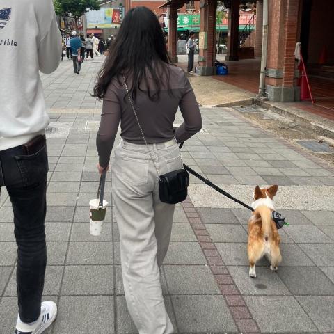 提供遛狗绳服務的專家林采蓁