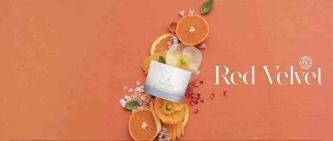 阮惠資 - 形象圖