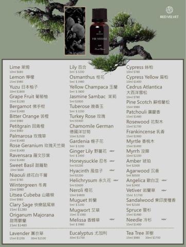 阮惠資 - 企業型錄