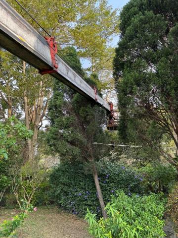 🪽森羽園藝 - 高空修剪作業