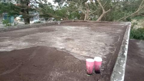 楓橋 - 平鎮樹木移除完工