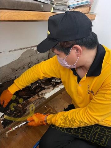 久濰環衛有限公司 - 住宅白蟻防治-蟻巢拆除