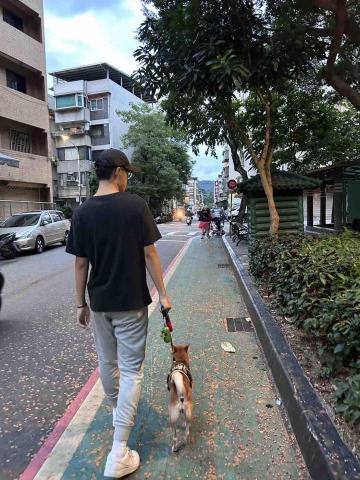 旺財寵物散步 - 今天遛柴犬！