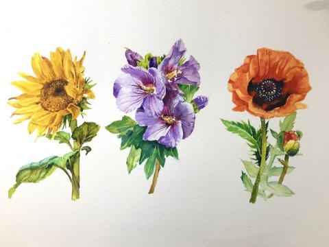 張家維 - 水彩，看書練習時的作品