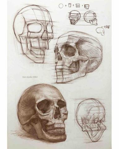 Han studio  邱柏翰 - 頭骨結構習作

認識頭骨結構，幫助我們將明暗做在有效果的位置上