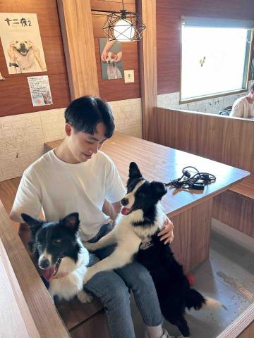 旺財寵物散步 - 兩隻邊牧一起帶出門！