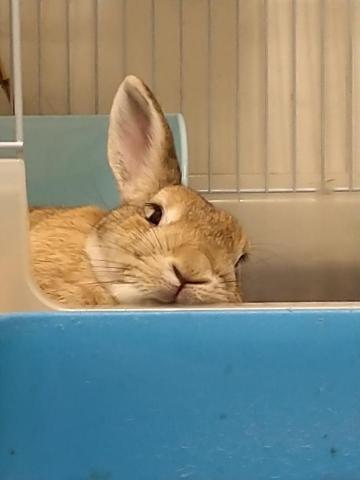 青古加資產管理-田小姐 - 