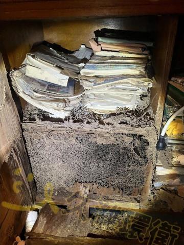 久濰環衛有限公司 - 住宅白蟻防治-大蟻巢