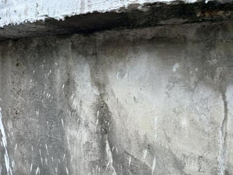 楊嘉豪=楊焜驛（羊仔。細羊） - 防水工程