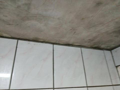 楊嘉豪=楊焜驛（羊仔。細羊） - 防水工程