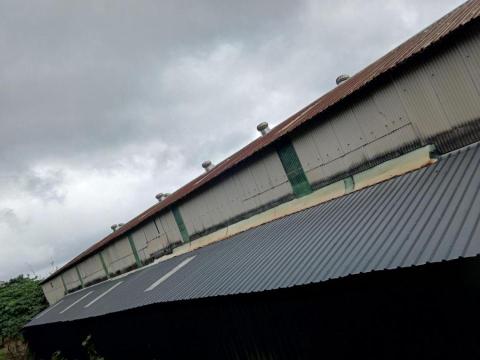 楊嘉豪=楊焜驛（羊仔。細羊） - 