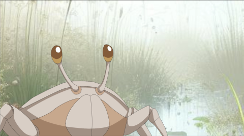 瓶蓋貓動畫工作室 - 台中高美濕地宣傳動畫劇照