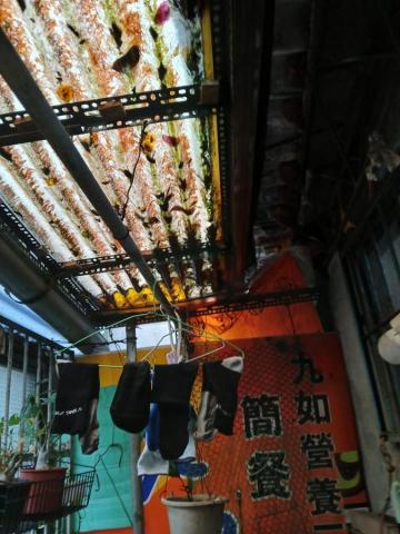 楊嘉豪=楊焜驛（羊仔。細羊） - 拆除作業