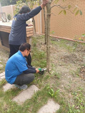 原動力工程行 - 砍伐樹木