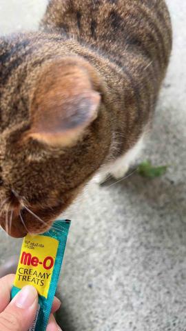 吳佩庭 - 因為是錢所以很傲嬌需要人餵