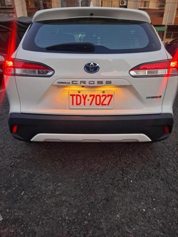 提供cpr安妮服務的專家安妮寶貝