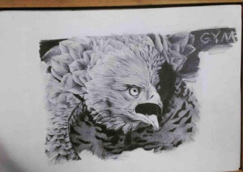 張健笙 - 素描練習