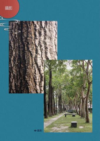 斯比設計 - 大學作品