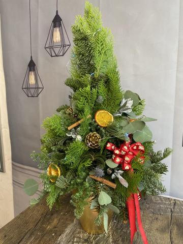 植感物語 -  植感物語 -