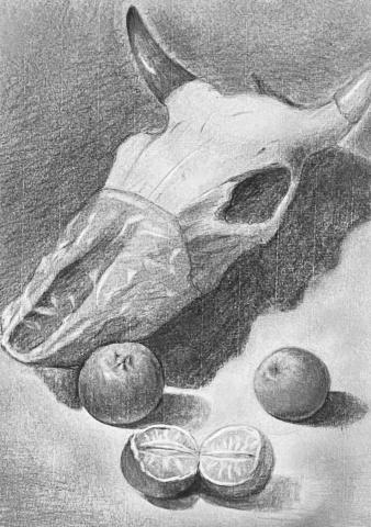 黃昱華 - 素描鉛筆繪製