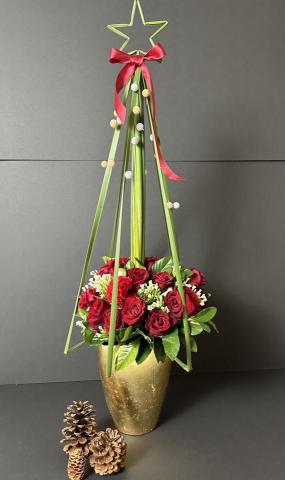 植感物語 -  植感物語 -