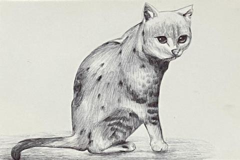 黃昱華 - 油性原子筆繪製