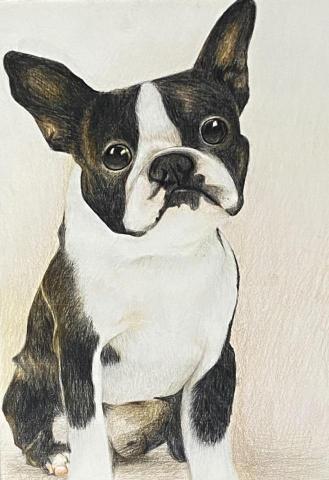 黃昱華 - 色鉛筆繪製