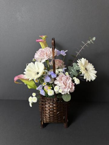 植感物語 -  植感物語 -