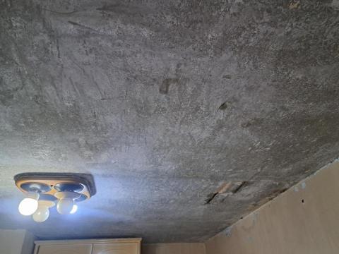 林蔡漆 - 天花板