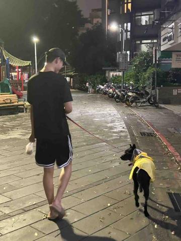 旺財寵物散步 - 毛毛雨也澆不息我們出門的心