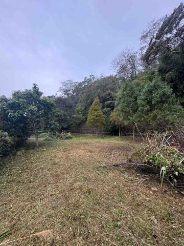 🪽森羽園藝 - 除草及雜支移除