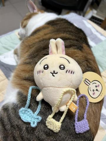 就是愛編織 - 學生作品 -寶寶實現包包自由