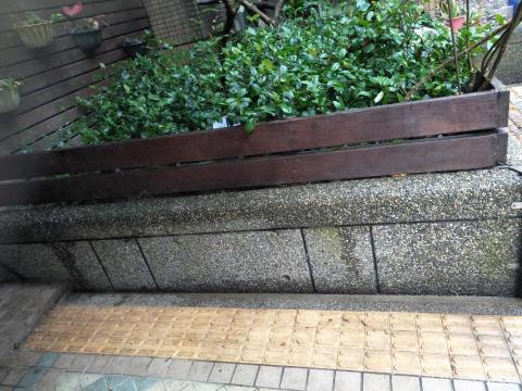 心流星有限公司 - 清落葉後