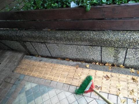 心流星有限公司 - 清落葉前