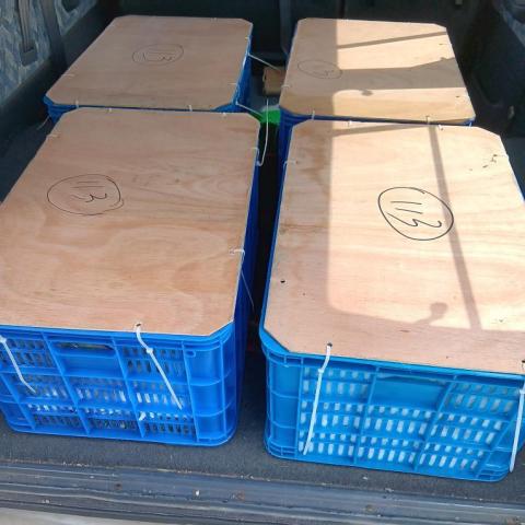 南亞搬家運輸企業 - 